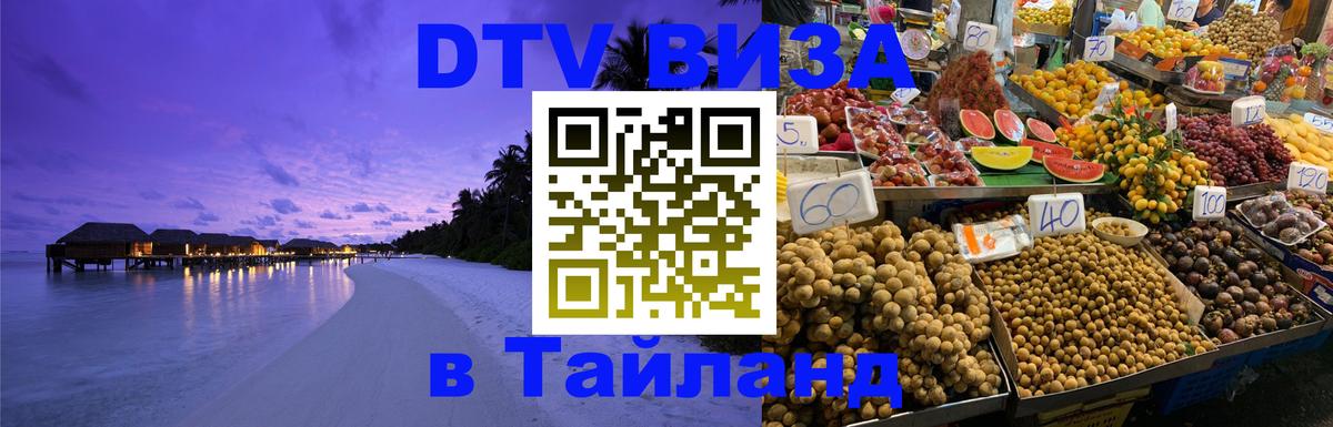 Оформление DTV визы под ключ: стоимость и тарифы, только загранпаспорт - Тула  04.10.2025 